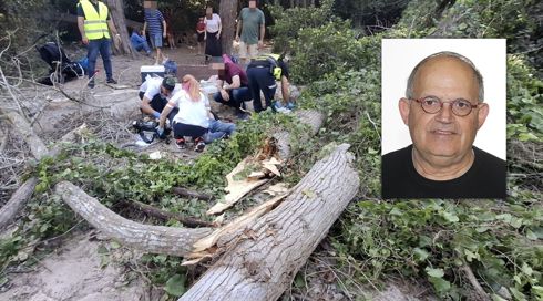 הותר לפרסום: ההיסטוריון מוטי גולני הוא האדם שנהרג מקריסת עץ בנחל שופט