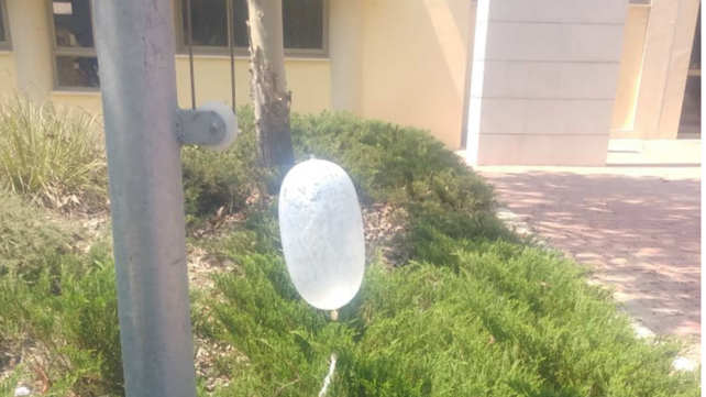 בלון תבערה בית ספר באשכול