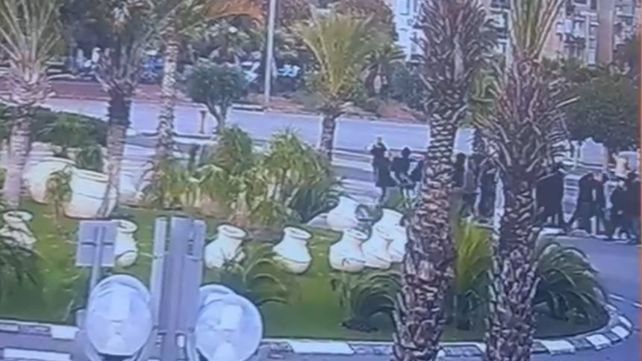 אוהדי הפועל תל אביב