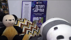 משפחות נרצחי הנובה