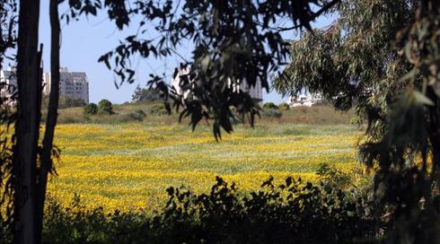 ראש עיריית רמת השרון מאשים: זייפו את חתימתי