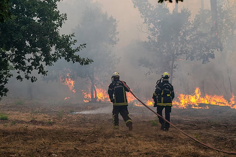 לוחמי אש באחד מאתרי השריפה בצרפת צילום: AP Photo/Caroline Blumberg