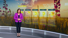 תחזית