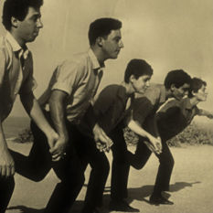 להקת התרנגולים