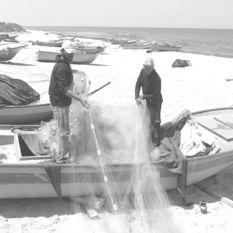 Gaza fishermen