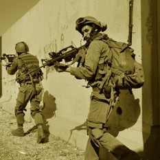 טלי חדד 500