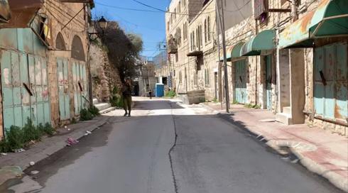 4 לוחמי גולני חשודים שהכו פלסטיני במהלך מעצר בחברון לפני כחודש