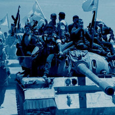 Image (12)