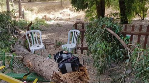 מות הילד בפארק: "צעקנו לברוח, אבל הוא לא זז"