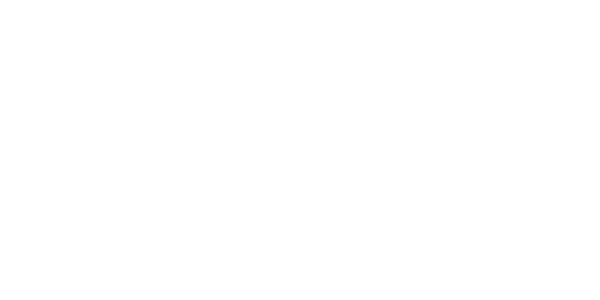 מאסטר בראנץ