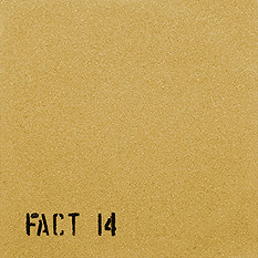 The Durutti Column