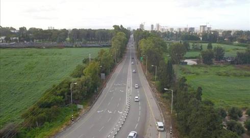 ניצחון לעצי האקליפטוס: לא ייכרתו לטובת המטרונית