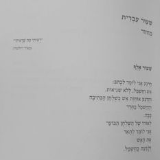 cat8429_img421649326.jpg