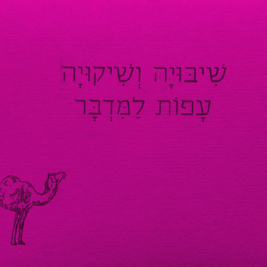 שתי פיות-קווץ'
