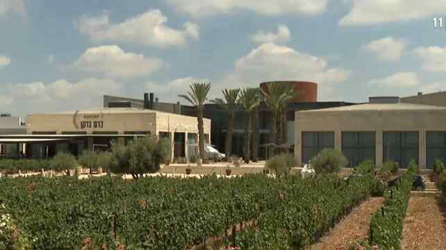יקבי ברקן