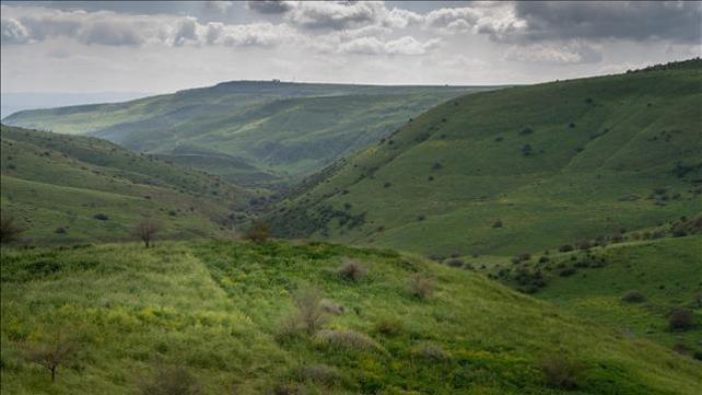 טבע תחזית מזג אוויר טיולים פריחה ירוק