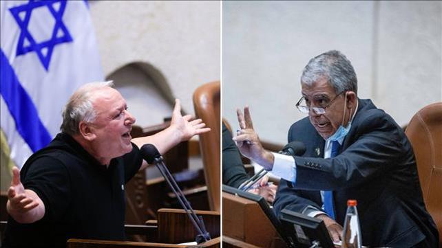 דודי אמסלם ומיקי לוי, מליאת הכנסת