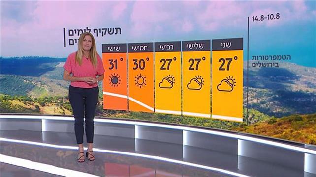 תחזית