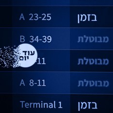 ביטול טיסות ריבועי 050824