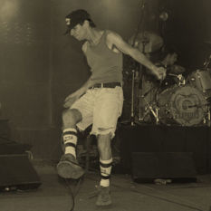 cat10809_img722833187.jpg