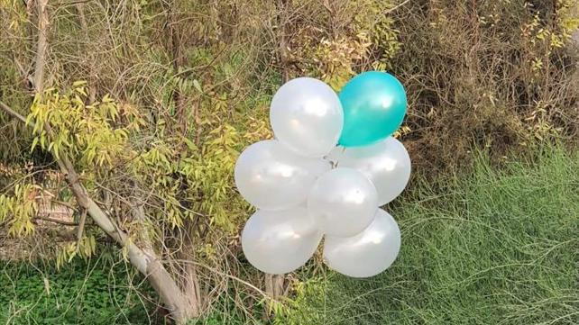 זר בלוני תבערה שנחת בעוטף עזה, 16 בינואר 2020