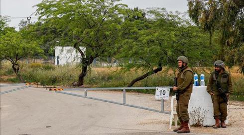 המערכה שבין הלייקים