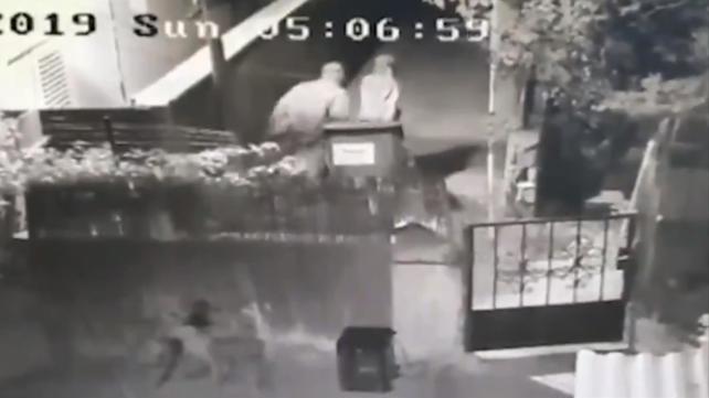 תיעוד של משטרת ישראל: שני החשודים ברצח עדיאל תורתי מפנים את גופתו בפח