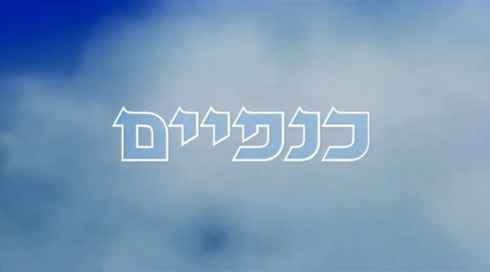 כנפיים | פתיח