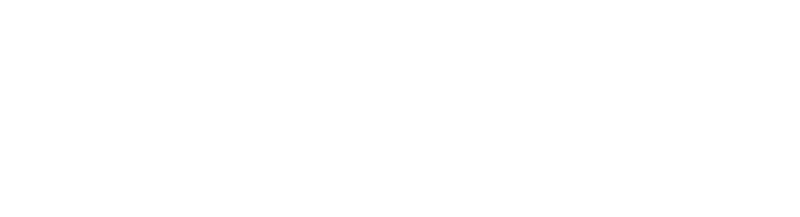 ברנשטיין הפרטיזן האחרון