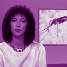 מהדורת מבט