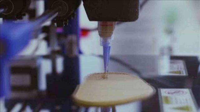 מזון העתיד