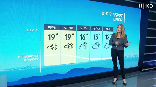 תחזית