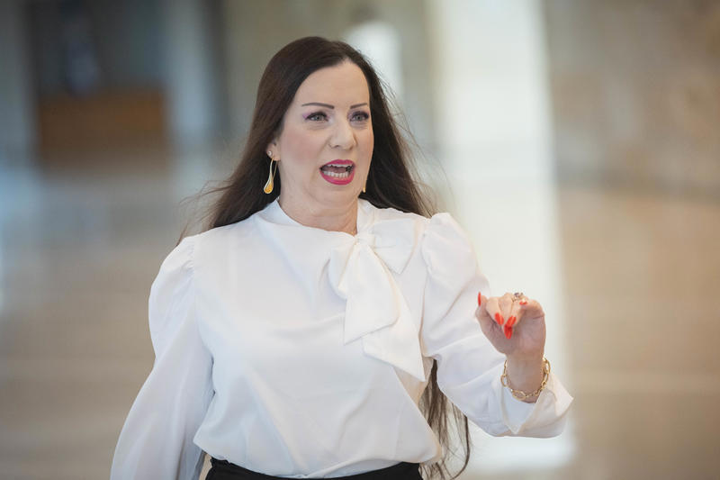 חברת הכנסת טלי גוטליב בבית המשפט העליון