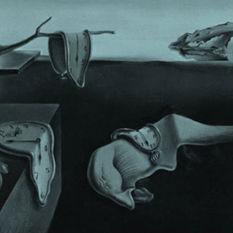 cat19600_img227102131.jpg