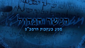 הנשר הגדול לוגו
