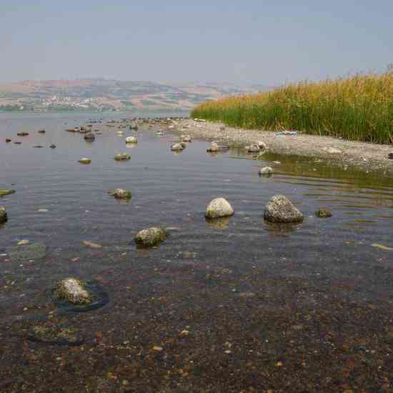 Un sistema para detectar la contaminación del agua antes de consumirla