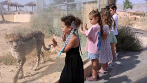 גן החיות החדש בבאר שבע