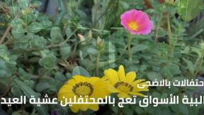 النشرة المسائية مع وسيم كيوف 19.7.2021