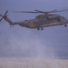 cat26151_img634188610.jpg