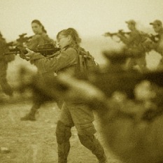 ברדלס 50