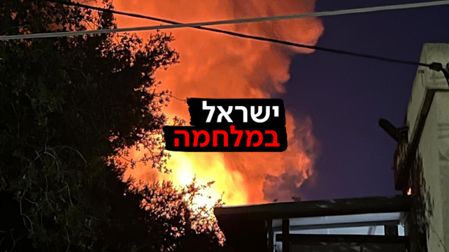 הפגיעה בשתולה