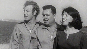 זמר קיבוץ. 1971