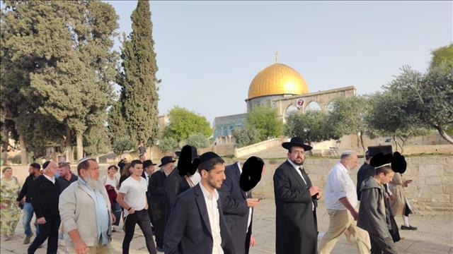 כניסת יהודים להר הבית