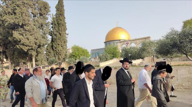 כניסת יהודים להר הבית