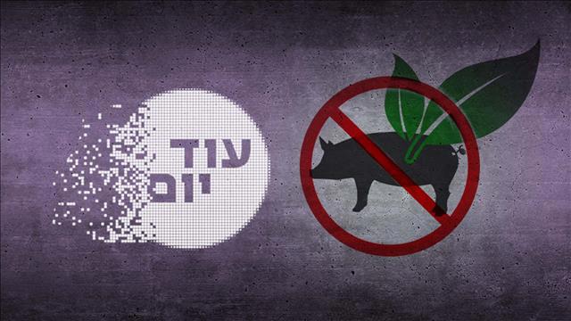 עוד יום, חזיר כשר