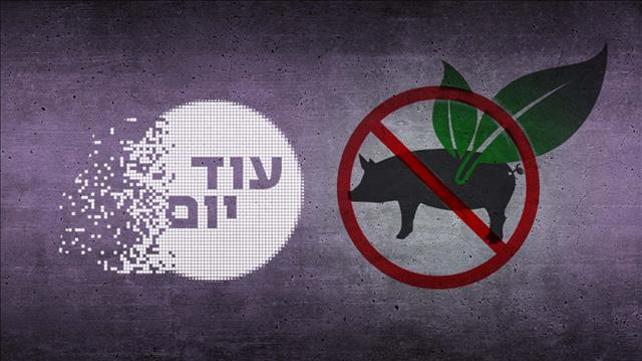 עוד יום, חזיר כשר