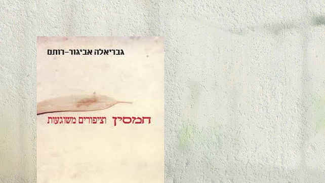 מערכת כאן
