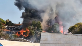 שריפה בנס ציונה, יוני 2025