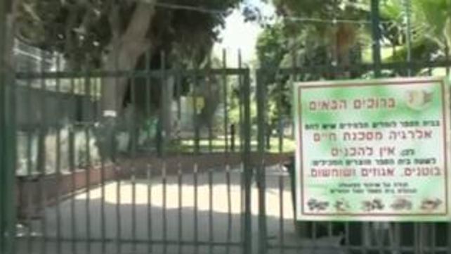 בוטל איסור הכנסת מזון אלרגני לביה"ס