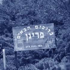 פריגן לוגו קטן